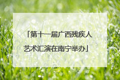 第十一届广西残疾人艺术汇演在南宁举办